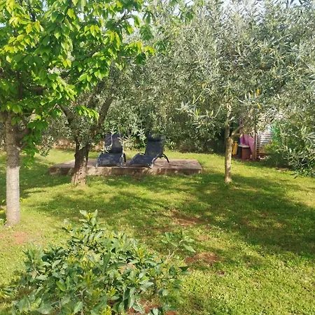 Holiday home House *