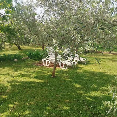 House Holiday home Pula